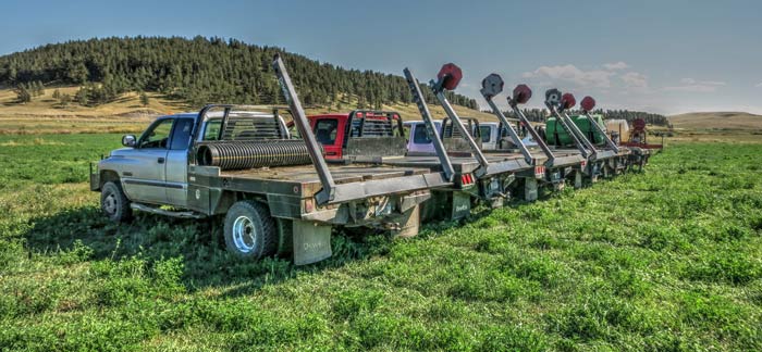 Eickhoff Ranch and Elk Creek Cattle Company